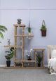 A & B Home Natural High Teak Wood Flower Shelf-4