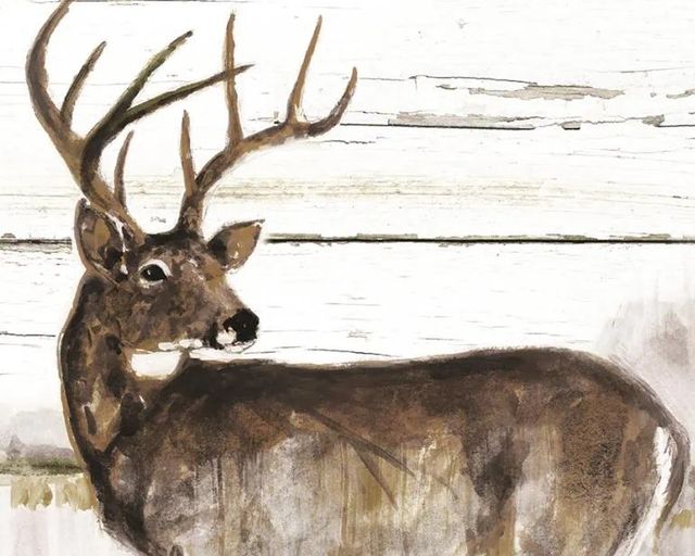 Classy Art Rustic Misty Deer by Ruane Manning Wall Art-1
