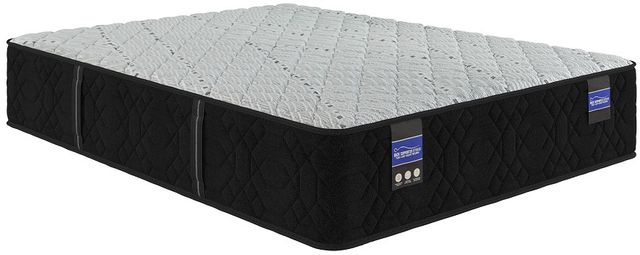 Spring Air® Back Supporter Hannah 13" Hybrid Firm Tight Top Full XL Mattress-0