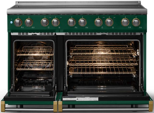 Viking® 5 Series 48" Ivy Pro Style Induction Range with Brushed Brass Trim-1