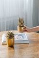 A & B Home Gold 6" Succulent Figurine-4