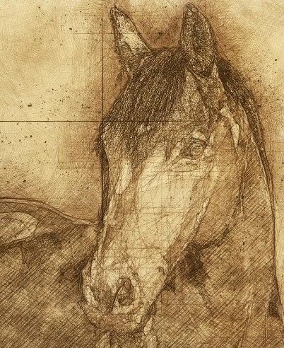 Classy Art Sketched Horse by Elizabeth Medley Wall Art-1