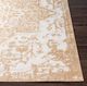 Surya Eagean Tan 4'x6' Area Rug-2