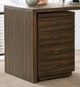 Riverside Furniture Perspectives Mobile File Cabinet-1
