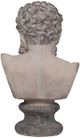 A & B Home Stone Hercules Bust Statue-5