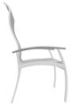 Telescope Casual Belle Isle Abalone/White Aluminum/Fabric Outdoor Sling Supreme Arm Chair with Cape Gray Rustic Polymer Arm Accent-1