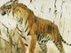 Stylecraft Tiger Prowl Wall Art-2