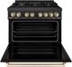 ZLINE Autograph Edition Legacy 36" Black Stainless Steel Pro-Style Dual Fuel Range with 6-Burner Gas Cooktop and Electric Convection Oven-1