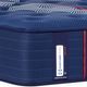 Sealy® Posturepedic® Elite Albany II Wrapped Coil 14" Firm Tight Top Queen Mattress-2
