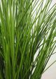 Le Present Potted Green 28" Faux Botanical Grass-1
