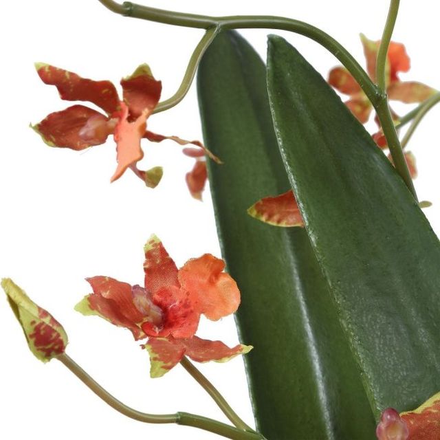 Uttermost® Dancing Green/Orange Orchid-4