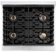 ZLINE Autograph Edition Paramount 30" 4.2 Cu. Ft. Stainless Steel Gas Range with 4 Burner DuoPro™ Cooktop, Convection Gas Oven and Polished Gold Accents-2