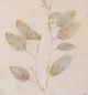 Stylecraft Beige/Brown Wall Art-1