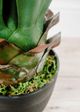 Le Present Agave Green And Yellow Faux Botanical-1