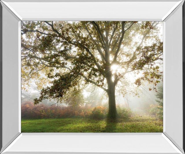 Classy Living Lee Frost Morning Calm Mirror Framed Wall Art-0