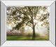 Classy Living Lee Frost Morning Calm Mirror Framed Wall Art-0