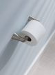Moen® Danika™ Brushed Nickel Pivoting Paper Holder-1
