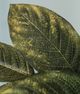A & B Home Green Magnolia Leaves Spray-1