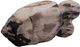 A & B Home Brown Large Fish Statue-0
