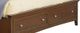 Standard Furniture Cooperstown Storage Panel Bed-1