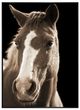 Crestview Collection Fayette 2 Brown Wall Art-0