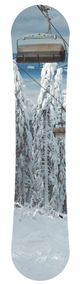 YHD Champagne Powder Wall Art-4