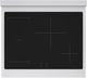 ZLINE Autograph Edition Paramount 30" Satin Stainless Steel Pro Style Induction Range with Polished Gold Accents-1