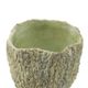 A & B Home 2-Piece Natural Green Planters-3