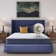 Serta® Five Star Dream Haven 10" Wrapped Coil Plush Pillow Top Twin XL Mattress in a Box-3