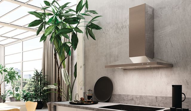 Faber Dama 30" Stainless Steel Wall Mounted Range Hood-1