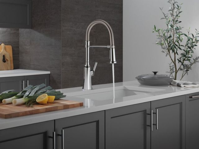 Delta Ermelo®  Chrome Single Handle Kitchen Faucet With Spring Spout -3