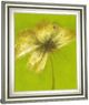 Classy Living Emma Forrester Floral Burst Vl Wall Art-3