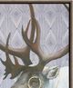 Stylecraft Moose Masquerade II Wall Art-1