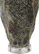 Renwil® Everren Poppi Dark Green Table Lamp-2