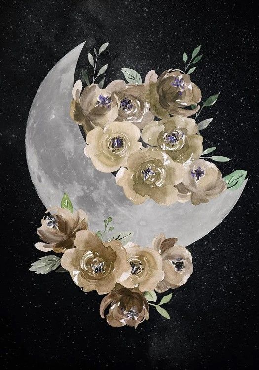Classy Art Bohemian Moon by Daniela Santiago Wall Art-0