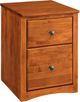 Archbold Furniture Customizable 2-Drawer Rolling File-0
