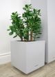 Le Present Squared Light Grey 12" Planter-3