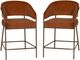 Linon Portland 2-Piece Bronze/Caramel Counter Stool Set-0