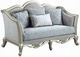 ACME Furniture Qunsia Champagne/Light Gray Loveseat-0