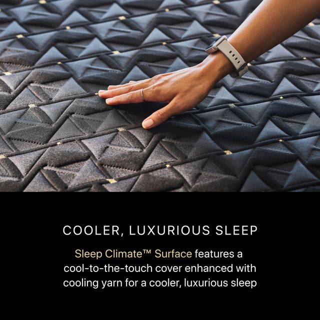 Beautyrest Black® Series 4 Hybrid 16" Plush Box Top Queen Mattress-17