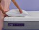 Purple® Plush White Standard Pillow-1