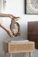 A & B Home Gold Bird Photo Frame-5