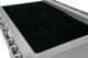 Frigidaire Professional® 36'' Smudge-Proof® Stainless Steel Freestanding Induction Range-4