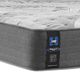 Sealy® Posturepedic® Plus Testimony II Innerspring Medium Tight Top Queen Mattress-3
