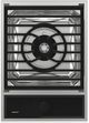 Wolf® 15" Stainless Steel Transitional Multi-function Gas Module-0