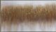 StyleCraft Brown Firwood Stretch Bar Canvas Wall Art-1