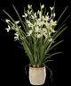 Uttermost® Ariana Orchid White Planter-3