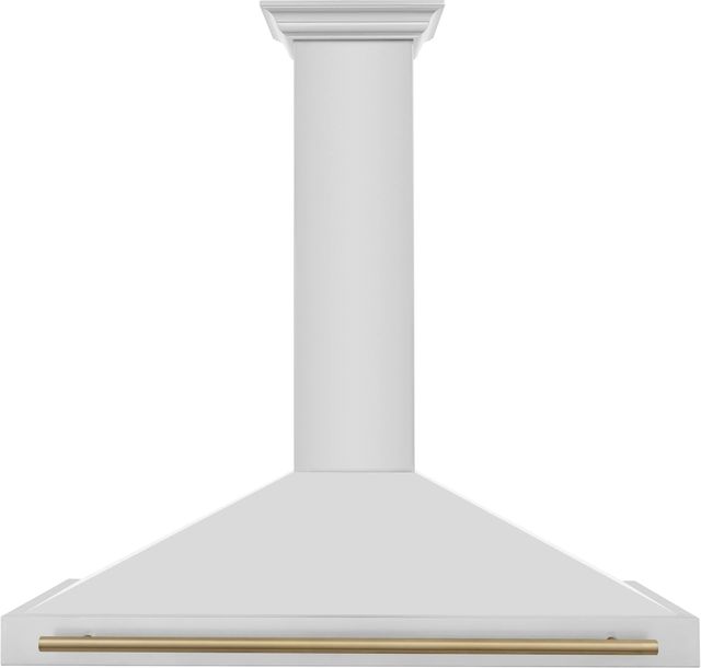 ZLINE 48" Autograph Edition Stainless Steel Wall Mounted Range Hood-0