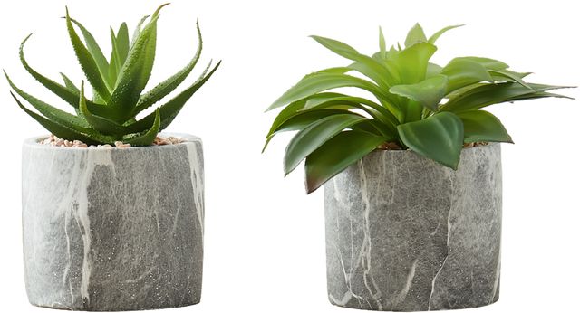 Monarch Specialties Inc. 2-Piece Grey 6" Tall Artificial Potted Succulent-0