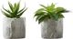 Monarch Specialties Inc. 2-Piece Grey 6" Tall Artificial Potted Succulent-0